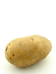 Potato isolated