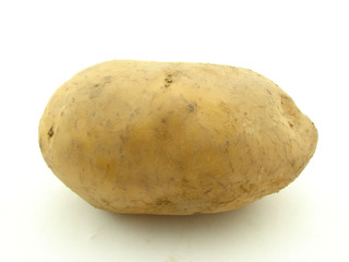 Potato