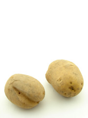 Potato