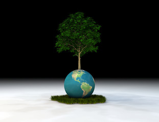 arbol 1 © juanjo