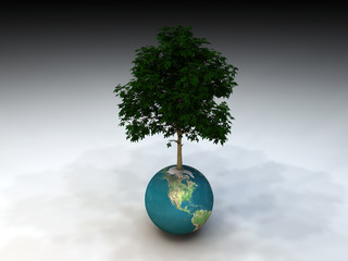 arbol 2 © juanjo