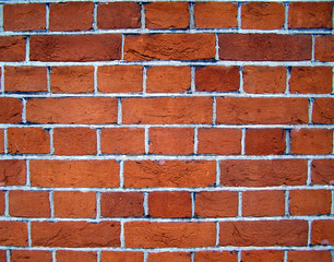 Wall of red bricks English bond