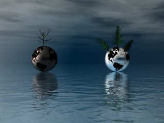 arbol 4 © juanjo