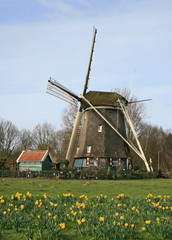 The windmill in Dutch countryside