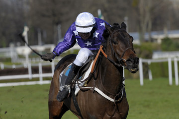 horse racing auteuil 04