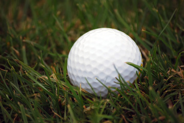 Ball in grass