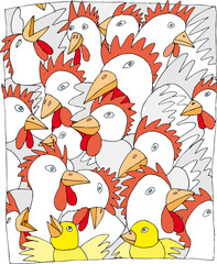 lot of chickens press together