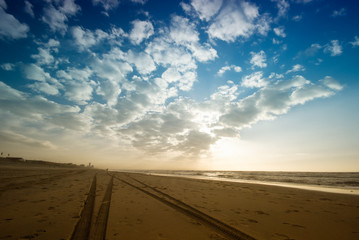 tire tracks on the beach