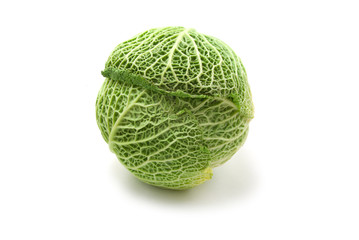 Fototapeta premium cabbage