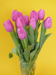 Tulpen