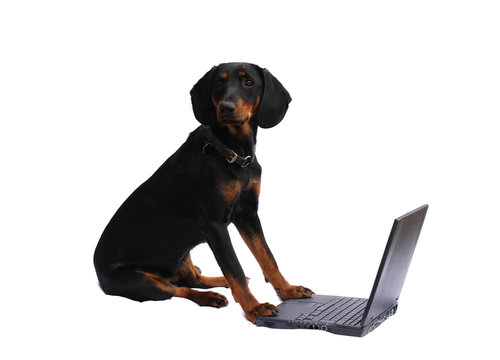 confusing computer