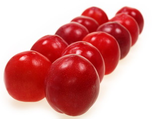 frische rote pflaumen