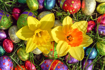 Obraz na płótnie Canvas easter eggs with daffodils