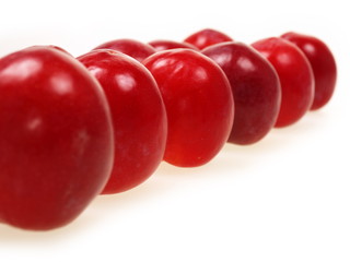 frische rote pflaumen