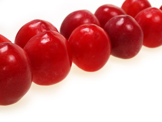 frische rote pflaumen