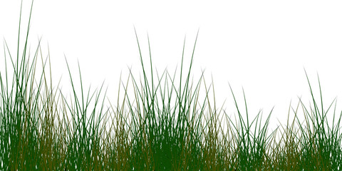 Obraz premium Grass elements