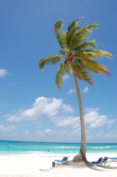 caraibi