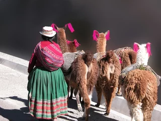 Selbstklebende Fototapeten passeggiata di lama - Perù © lino beltrame