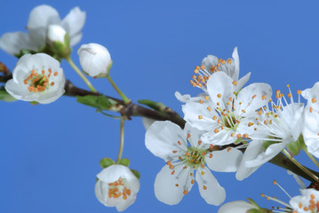 Spring arrives