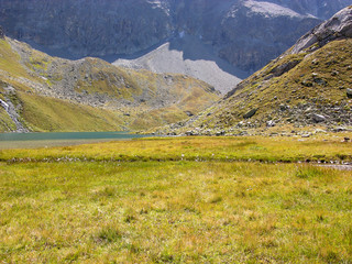 Fototapeta premium See am Julierpass