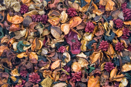 Potpourri