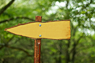 Sign in the wood