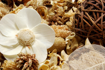 Modern lifestyle porpourri