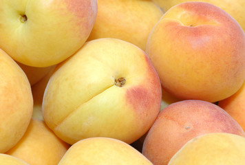 Fresh peaches or apricots