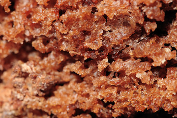 macro brown cake