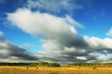 Yellow field