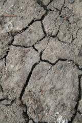 surface of wall texture can be used as background