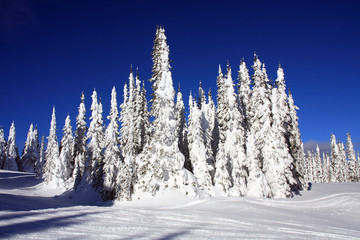 Ski slopes of Silver Star