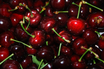 Ruby red cherries