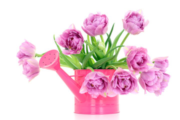 spring time!