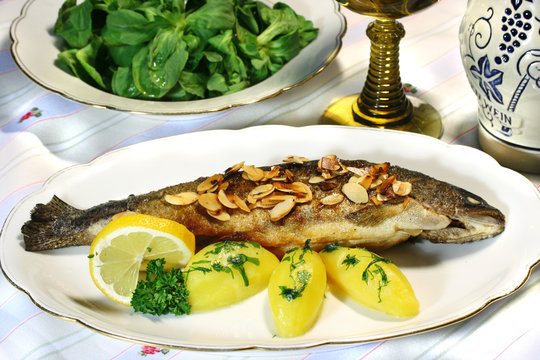 forelle m&uuml;llerin art mit feldsalat