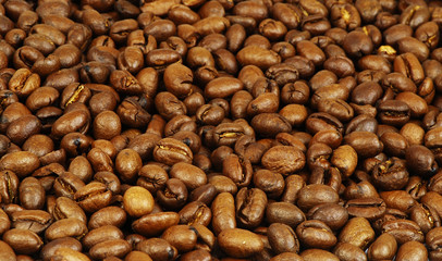Coffee beans background