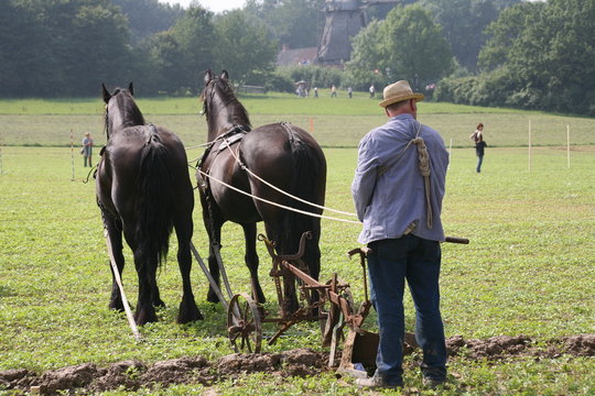 Pfl&uuml;gen
