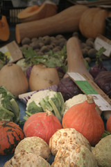 légumes d'automne au marché