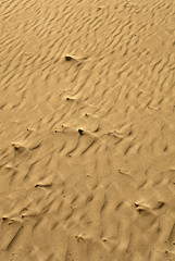 Areias