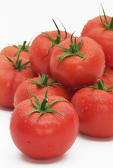 Tomatoes