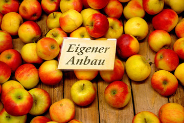 Eigener Anbau
