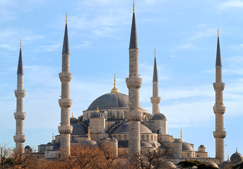 Fototapeta na wymiar Blue Mosque of Istanbul, Turkey