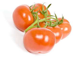 Vine Ripen Tomatoes Isolated on White