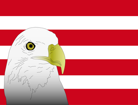 Águila Sobre La Bandera Americana