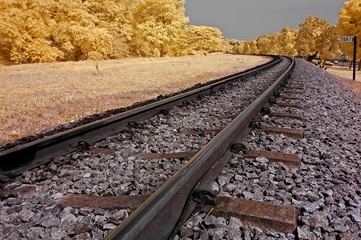 Naklejka premium Infrared photo – railway track and tree in the parks