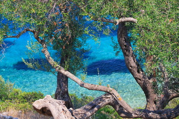 Lichnos beach in Parga Greece