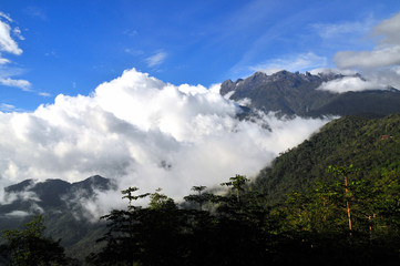 Berg Dschungel Urwald Borneo