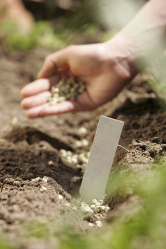 Plantations