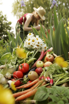 au potager