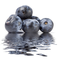 Blueberries